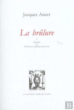 Bertrand.pt - La Brulure
