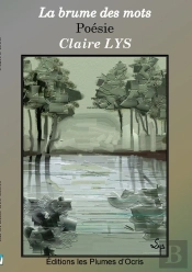 La Brume Des Mots ; Poésie