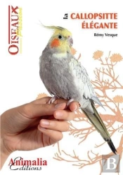 La Callopsitte Élégante
