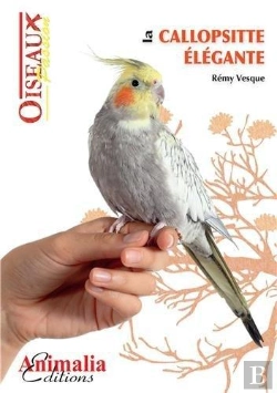Bertrand.pt - La Callopsitte Élégante