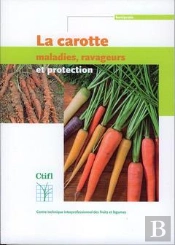 La Carotte : Maladies, Ravageurs Et Protection