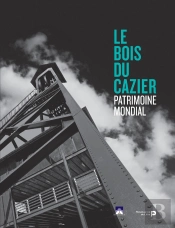 La Catastrophe Du Bois Du Cazier : 8 Août 1956