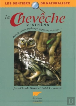 Bertrand.pt - La Chouette Cheveche