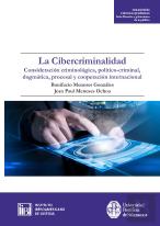La Cibercriminalidad