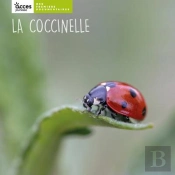 La Coccinelle