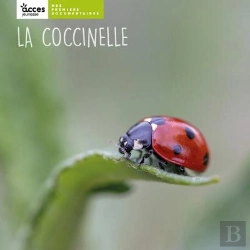 Bertrand.pt - La Coccinelle
