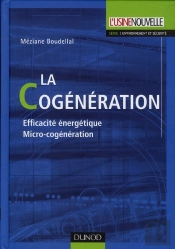 La Cogénération ; Efficacité Énergétique Micro-Cogénération