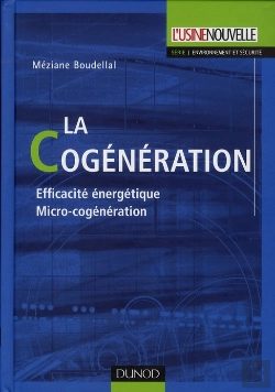 Bertrand.pt - La Cogénération ; Efficacité Énergétique Micro-Cogénération