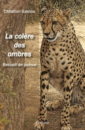 La Colere Des Ombres