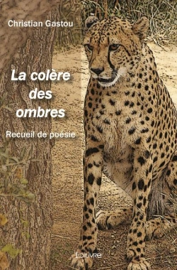 Bertrand.pt - La Colere Des Ombres