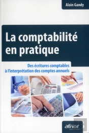 La Comptabilité En Pratique ; Des Écritures Comptables À L'Interprétation Des Comptes Annuels