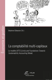 La Comptabilite Multi-Capitaux - Le Modele Lifts (Limits And Foundations Towards Sustainability Acco