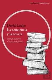 La Conciencia Y La Novela