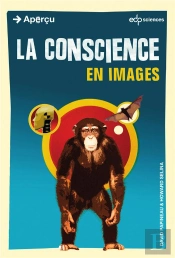 La Conscience En Images