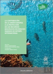 La Contribucion De La Union Europea A La Proteccion De Los R