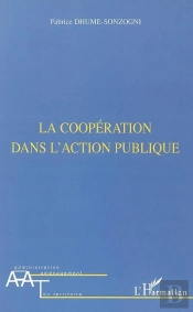 La Coopération Dans L'Action Publique