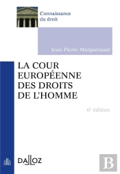 La Cour Europeenne Des Droits De L'Homme (6e Edition)