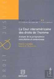 La Cour Interaméricaine Des Droits De L'Homme ; Analyse De La Jurisprudence Consultative Et Contentieuse