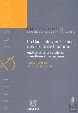 Bertrand.pt - La Cour Interaméricaine Des Droits De L'Homme ; Analyse De La Jurisprudence Consultative Et Contentieuse