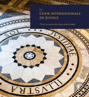 La Cour Internationale De Justice