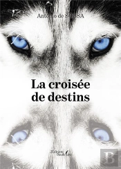La Croisée De Destins