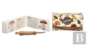 La Cueillette Aux Champignons : Petit Guide Pratique Des Champignons De Nos Régions
