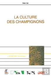 La Culture Des Champignons