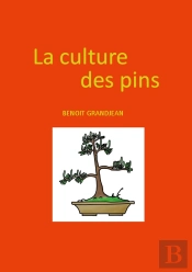 La Culture Des Pins : Bonsaï Et Niwaki