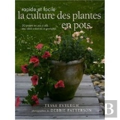 La Culture Des Plantes En Pots