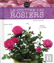 La Culture Des Rosiers