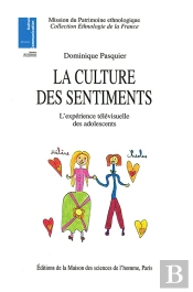 La Culture Des Sentiments. L'Experience Televisuelle Des Adolescents