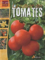 La Culture Des Tomates
