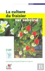 La Culture Du Fraisier Sur Substrat