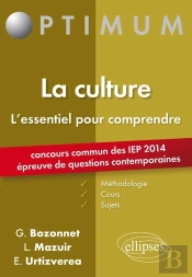 La Culture ; L'Essentiel Pour Comprendre
