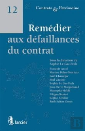 La Defaillance Contractuelle Quels Remedes