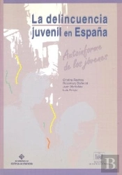La Delincuencia Juvenil En España, Autoinforme De Los Jóvenes