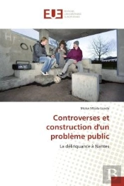 La Delinquance A Nantes