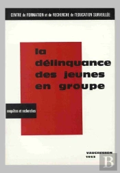 La Délinquance Des Jeunes En Groupe