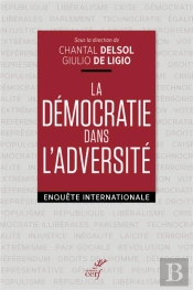 La Démocratie Dans L'Adversité