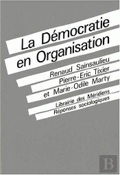 La Démocratie En Organisation : Vers Des Fonctionnements Collectifs De Travail