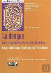 La Dengue Dans Les Departements Francais D'Amerique
