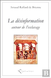 La Désinformation Autour De L'Esclavage