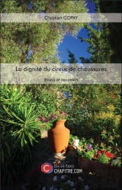 La Dignité Du Cireur De Chaussures ; Essais Et Nouvelles