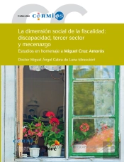 La Dimensión Social De La Fiscalidad: Discapacidad, Tercer Sector Y Mecenazgo