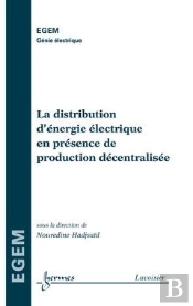 La Distribution D'Energie Electrique En Presence De Production Decentralisee Traite Egem Serie Genie
