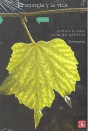 La Energia Y La Vida. Bioenergetica  