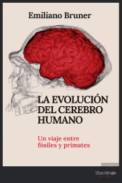 La Evolución Del Cerebro Humano