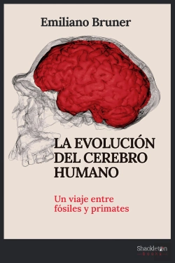 Bertrand.pt - La Evolucion Del Cerebro Humano