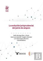 La Evolucion Jurisprudencial Del Juicio De Amparo