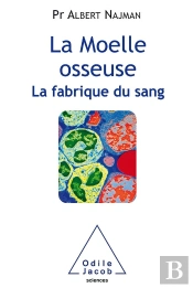 La Fabrique Du Sang, La Moelle Osseuse